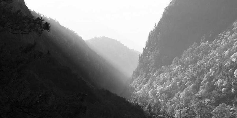 超能陆战队